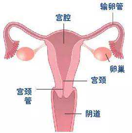 广西代怀生儿子，2023广西壮族自治区私立助孕机构名单大全附试管费用和成功