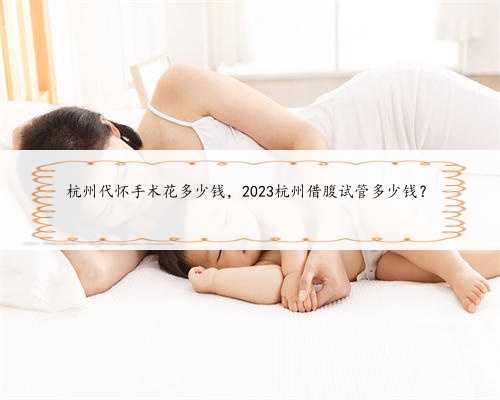 杭州代怀手术花多少钱，2023杭州借腹试管多少钱？