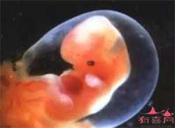 郑州试管代孕联系电话，郑州做输卵管检查需要多少钱