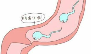 广州第三代试管婴儿要多少钱，广州靠谱的供卵试管机构
